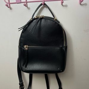 Aldo Backpack